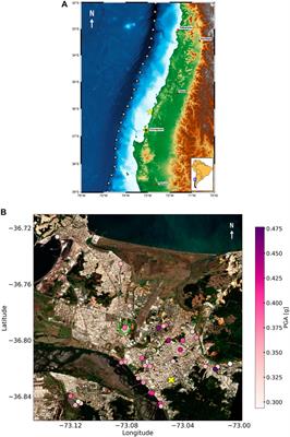 Spatial variability of shear wave velocity: implications for the liquefaction response of a case study from the 2010 Maule Mw 8.8 Earthquake, Chile